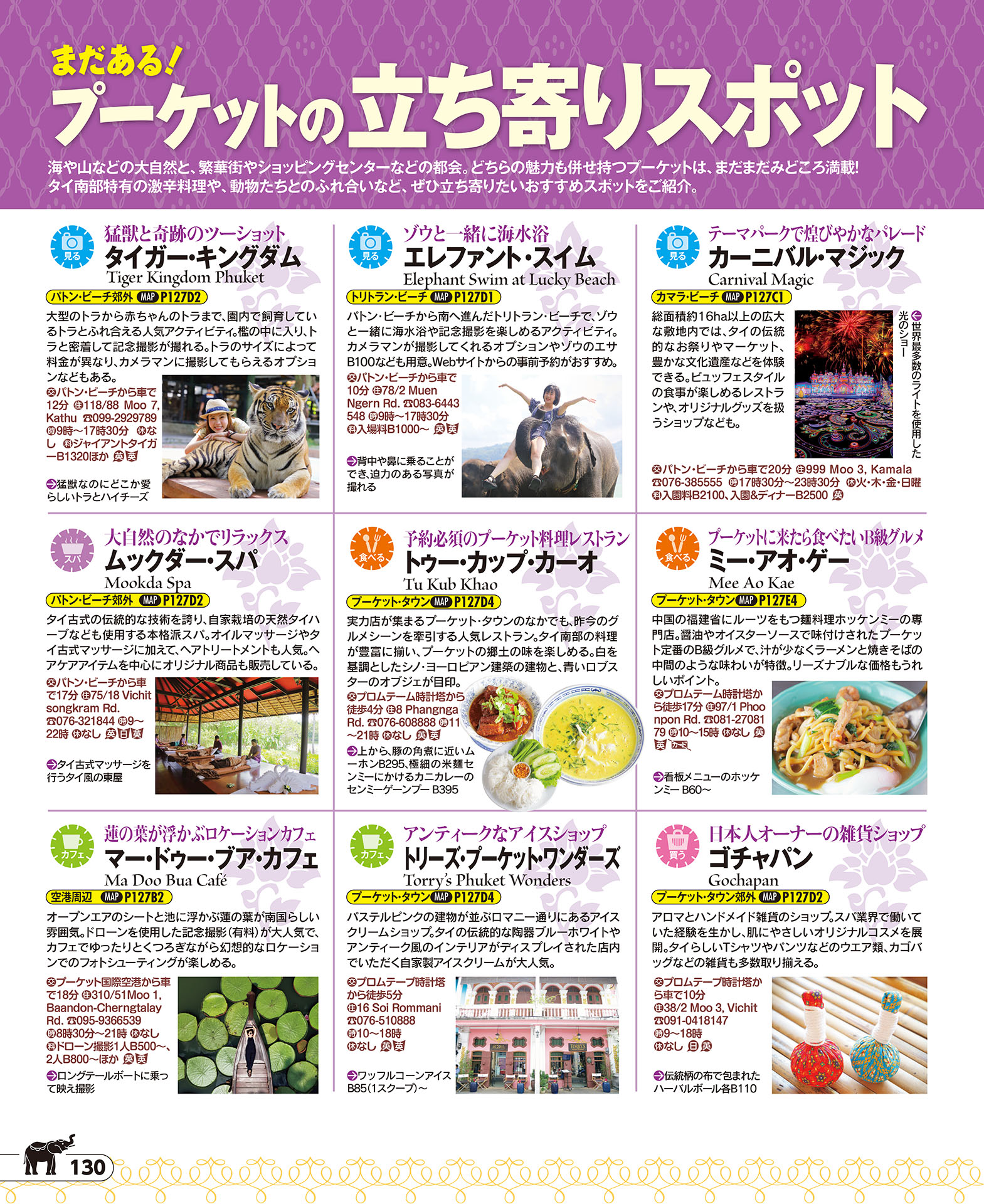 エレファント体験